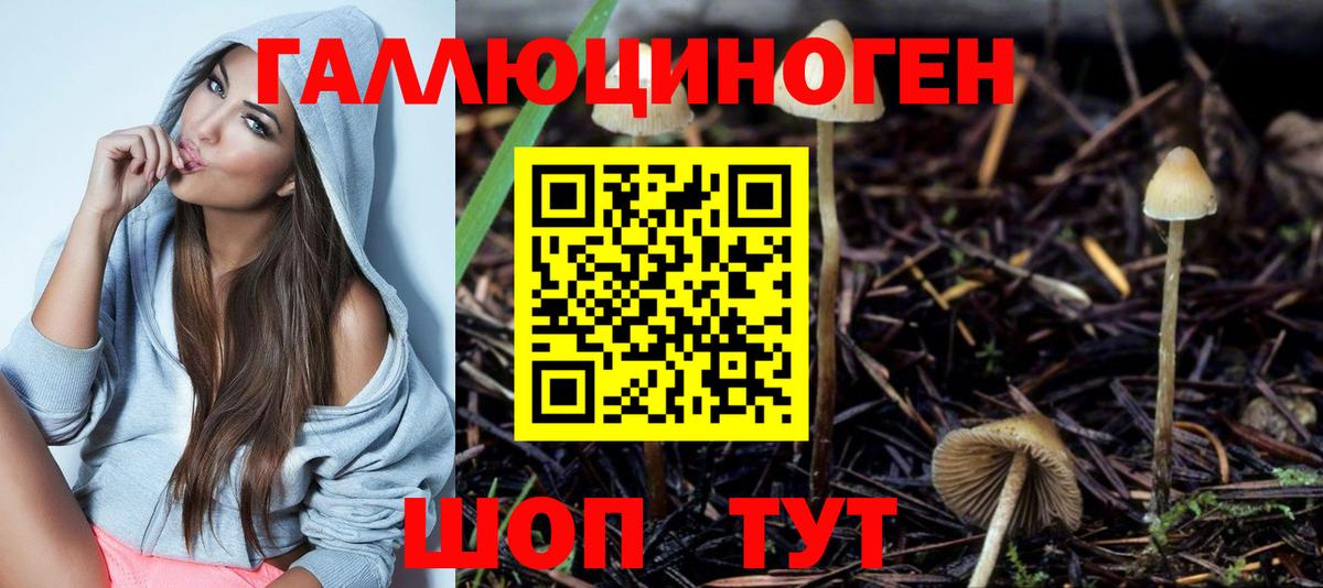 Галлюциногенные грибы MAGIC MUSHROOMS Березники