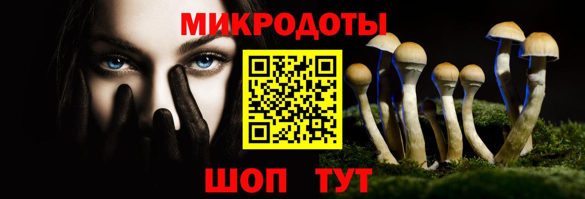 Галлюциногенные грибы прущие грибы  Вход с VPN  Березники 